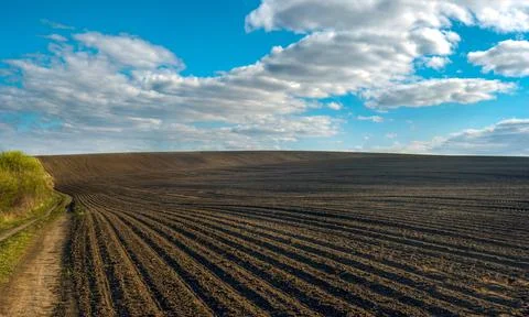 Rows of plowed field in spring under a beautiful sky clouds Stock Photos