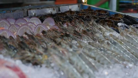 Rows of prawns carefully laid on ice at a bustling seafood market. The Stock Footage 312336911