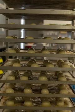 Rows of proofed dough balls resting on baking racks inside warm bakery kitchen Stock Photos