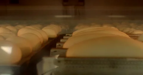 Rows of proofing bread rolls inside industrial oven with warm amber light Stock Footage 344597005