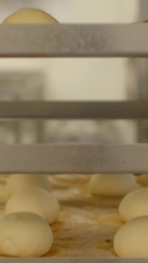 Rows of proofing dough balls on stacked bakery racks in vertical production shot Stock Footage 344572305