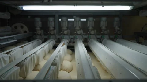 Rows of raw bread dough in molds on an automated bakery production line Vidéo 333274917