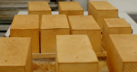 Rows of rectangular bread loaves on bakery conveyor with warm overhead lighting Stock Footage 344582612