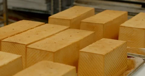 Rows of rectangular loaves cooling on trays in commercial bakery production line Stock Footage 344582990