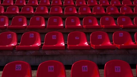 Rows of red plastic seats at the stadium Stock Footage 81303511