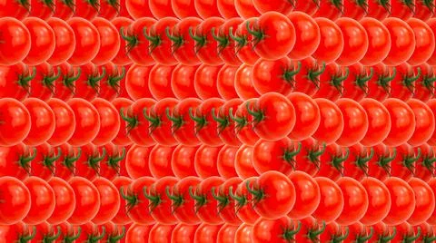 Rows of red ripe tomatoes.Repeating pattern.Horizontal banner,copy space Stockfoto's