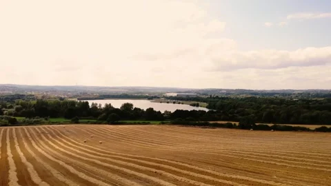 Rows of ripe wheat crops in Yorkshire Stock Footage 283478795