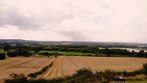Rows of ripe wheat crops in Yorkshire Stock Footage 284007348