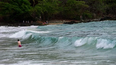 Rows of Rolling Waves Approaching Tropical Shoreline and Dense Trees Vídeos de archivo 337157942