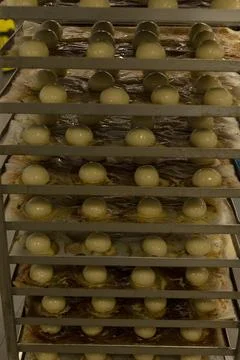 Rows of round dough balls on bakery rack ready for proofing and rising process Stock Photos