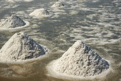 Rows of salt pan field Stock Photos