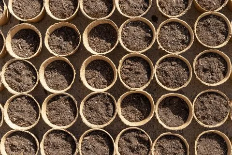 Rows of seeds and soil in small peat pots ready for planting Stock Photos