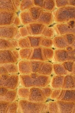 Rows of Sesame Rolls Stock Photos