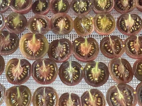Rows of Sliced Dark Tomatoes on a Dehydrator Tray Stock Photos