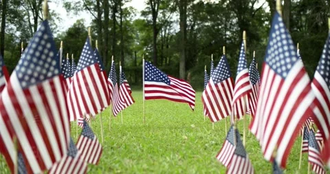 Rows of slow waving American flags and one single USA flag blowing in wind. Stock Footage 282472793