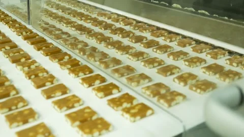 Rows of small rectangular nougat pieces moving along automated conveyor belt 動画素材 330477975