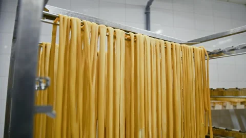 Rows of Smoked String Cheese Hanging in Ripening Chamber Stock Footage 293513733