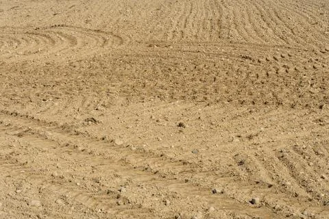 Rows of soil before planting. Drawing of furrows on a plowed field prepared f Stock Photos
