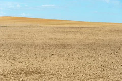 Rows of soil before planting. Drawing of furrows on a plowed field prepared f Stock Photos