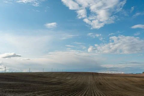Rows of soil before planting. Drawing of furrows on a plowed field prepared f Stock Photos