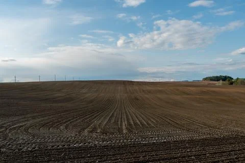 Rows of soil before planting. Drawing of furrows on a plowed field prepared f Stock Photos