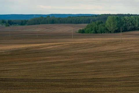 Rows of soil before planting. Drawing of furrows on a plowed field prepared f Stock Photos