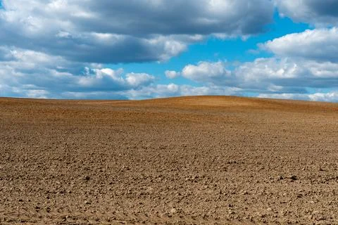 Rows of soil before planting. Drawing of furrows on a plowed field prepared.. Stock Photos