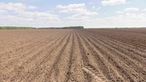 Rows of soil before planting Video stock 282197621