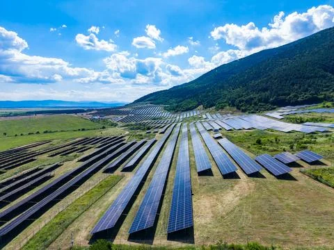 Rows of solar panels can be seen on a hillside, capturing sunlight. The area  Stock Photos