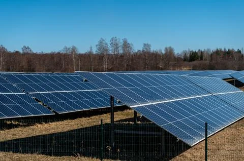 Rows of solar panels capture sunlight on a clear day in a rural setting. Stock Photos