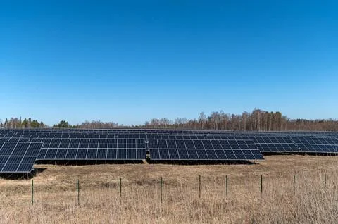 Rows of solar panels capture sunlight on a clear day in a rural setting. Stock Photos