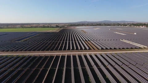 Rows of solar panels dominate landscape under bright sun Video stock 346064702