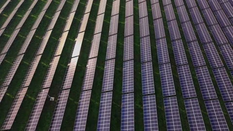 Rows of solar panels in a field capture sunlight and generate energy 库存影片 330001968