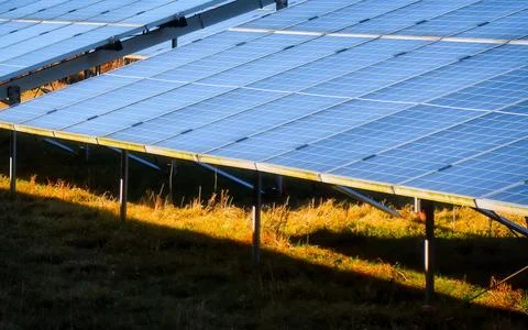 Rows of solar panels gleam under the bright sun on a grassy field. Фото