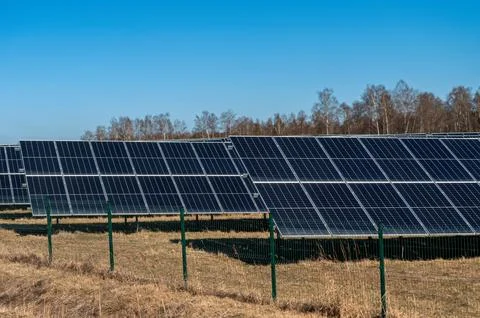 Rows of solar panels harness sunlight in an open field surrounded by trees. Stock Photos