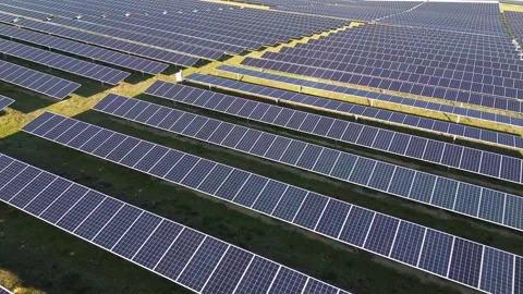 Rows of Solar Panels in Large Solar Farm – Renewable Energy Infrastructure Stock Footage 331200704