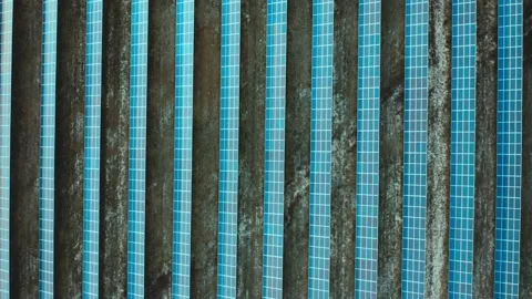 Rows of solar panels for the production of renewable electricity from above Stock Footage 233009362