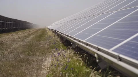 Rows of solar panels at a solar power station Stock Footage 313503010