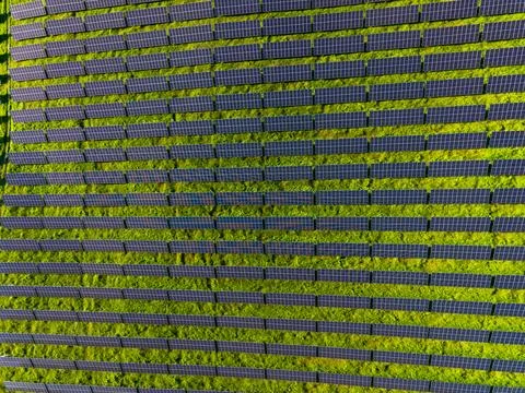 Rows of solar panels span a green landscape, capturing sunlight. The scene sh 스톡 사진