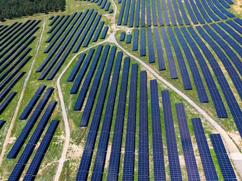 Rows of solar panels spread across a field show their design and layout at a  Stock Photos