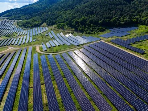 Rows of solar panels stretch across the field, capturing sunlight for energy. 写真素材
