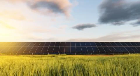 Rows of solar panels at sunset in a field against the backdrop of green gra.. Stock Photos