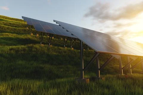 Rows of solar panels at sunset in a field against the backdrop of green gra.. Stock Photos