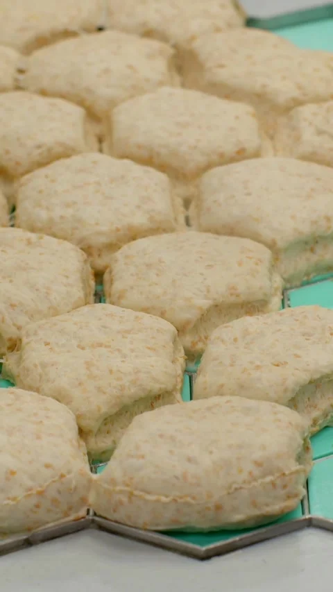 Rows of square proofed biscuits on wire rack with teal tray in bakery prep dough 動画素材 344575396