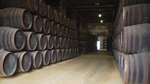 Rows of stacked sherry wine barrels inside famous Gonzalez Byass Winery Video stock 104875349