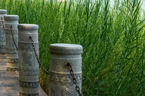 Rows of stone pillars and iron chain guardrails in front of tall grass by t.. Stock Photos