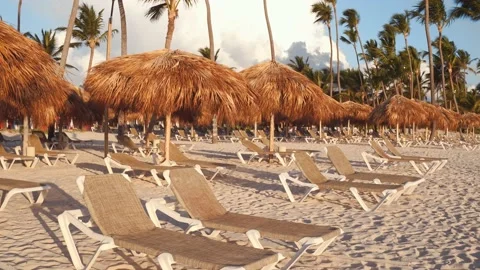 Rows of straw umbrellas and sun loungers Stock Footage 161812385