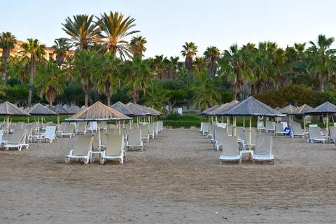 Rows of sunbeds on  beach without people in  early morning. Stock Photos