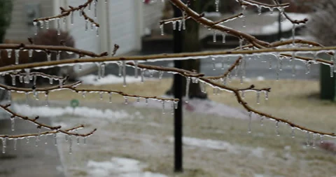 Rows of tiny icicles hanging from a tree branch in winter Stock Footage 153526368