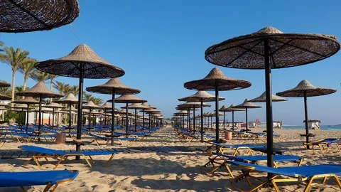 Rows of umbrellas made of straw and sunbeds. Sandy beach. Relaxing context Vidéo 125460599